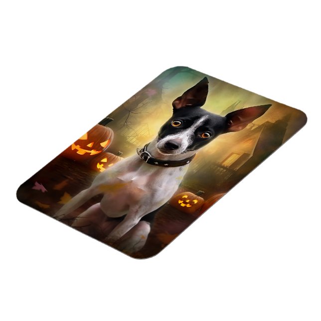Íman Halloween Rat Terrier Com Pumpkins Assustado (Left Side)