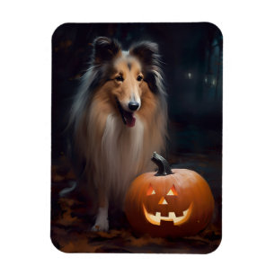 Íman Halloween Rough Collie Com Pumpkins Assustado
