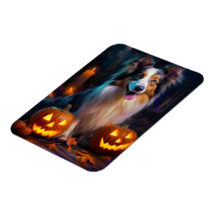 Íman Halloween Shetland Sheepdog Com Pumpkins Assustado