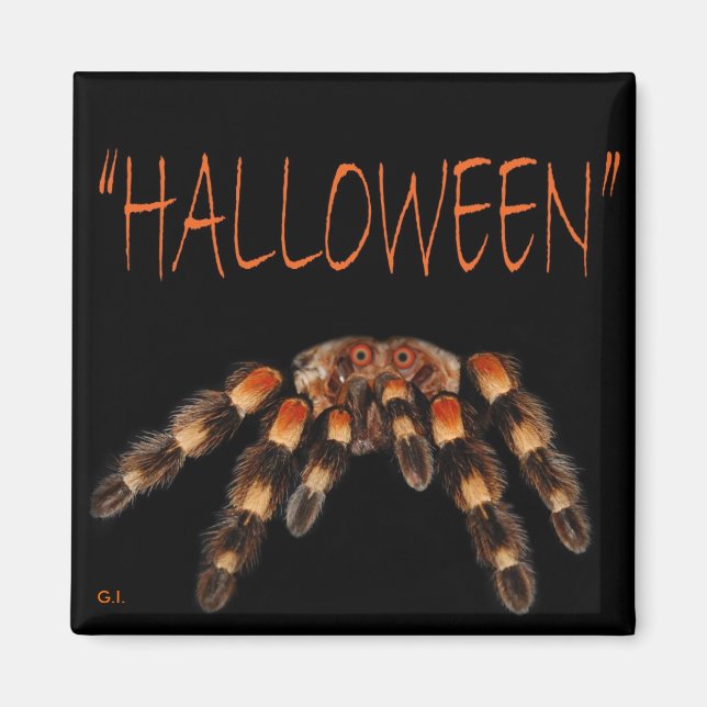 Íman Halloween Spider Magnet (Frente)