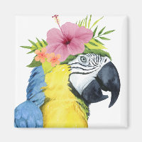 Halo Tropical - Papagaio