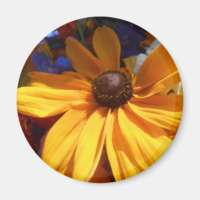 Íman Halse (Frente)