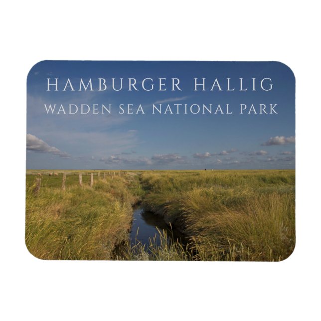 Íman Hamburger Hallig, Wadden Sea, Alemanha (Horizontal)