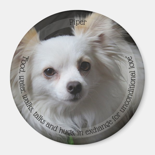 Íman HAMbyWG Pet Magnet (Frente)