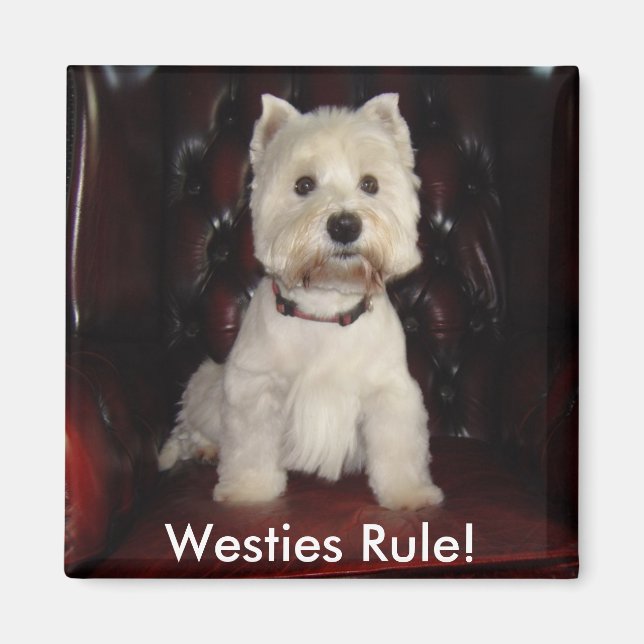 Íman Hamish McTavish Westies Rule Imã de geladeira (Frente)