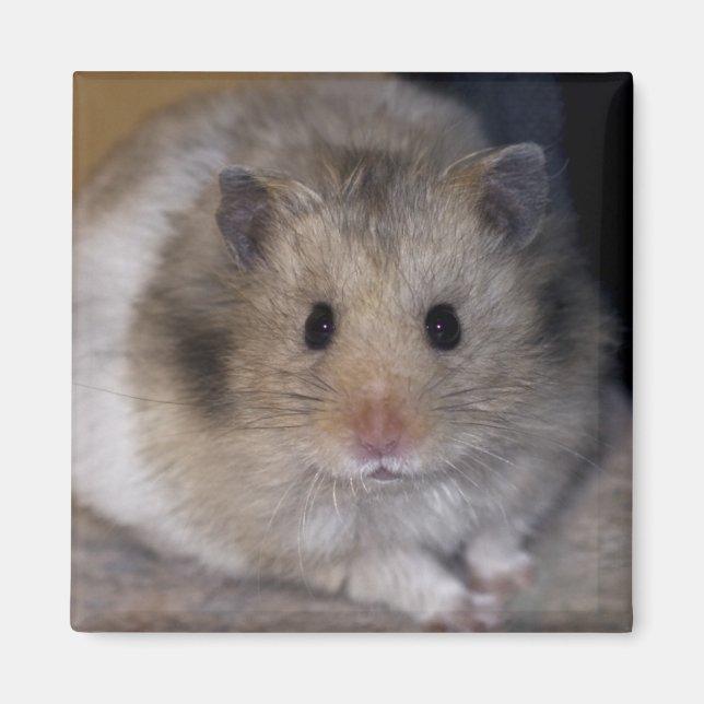 Íman Hammie Magnet (Frente)