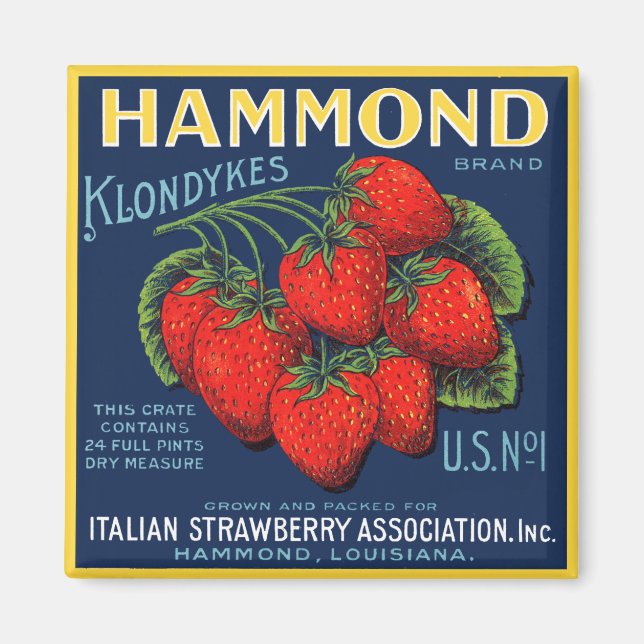 Íman Hammond Klondykes Strawberry (Frente)