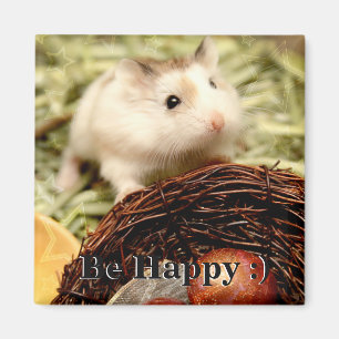 Íman Hammyville - Hamster Bonito
