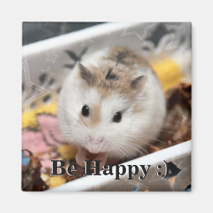 Íman Hammyville - Hamster Bonito