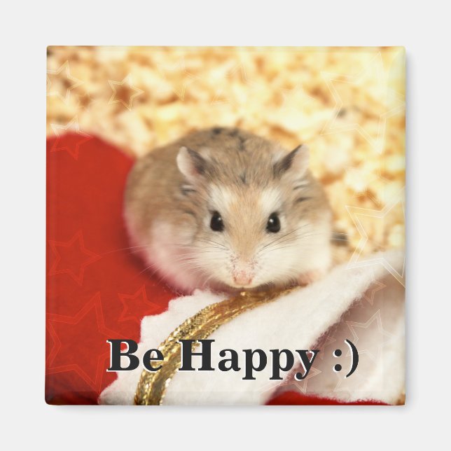 Íman Hammyville - Hamster Bonito (Frente)