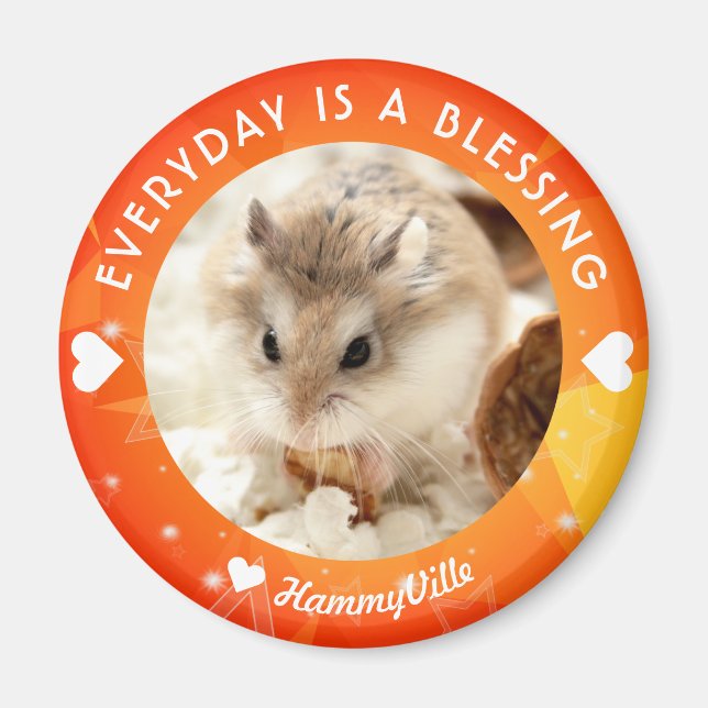 Íman Hammyville - Hamster Cute Robo (Frente)