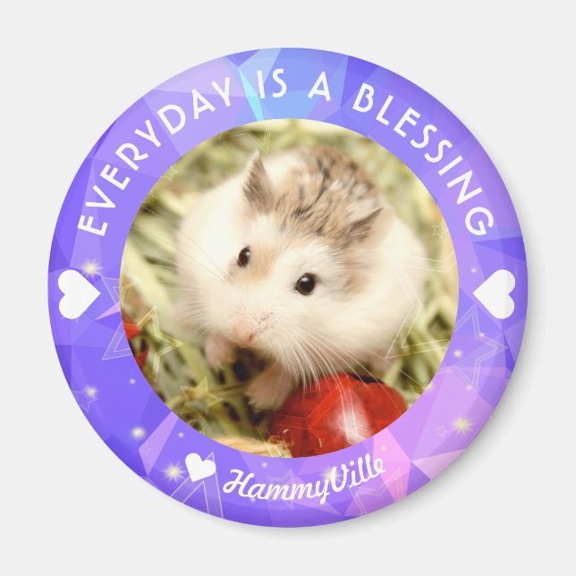 Íman Hammyville - Hamster Cute Robo (Frente)