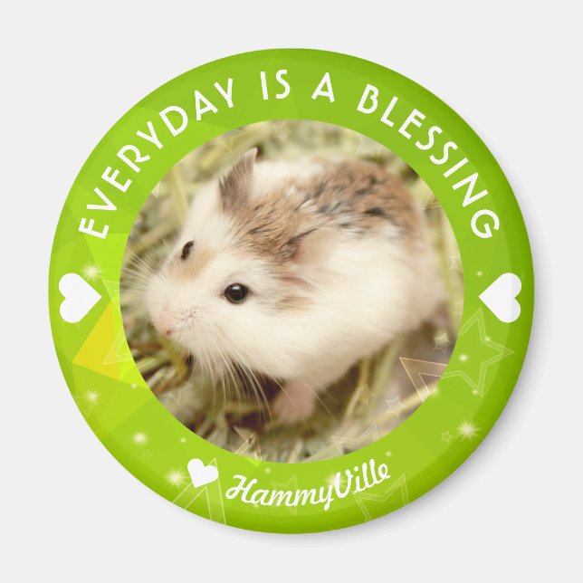 Íman Hammyville - Hamster Cute Robo (Frente)