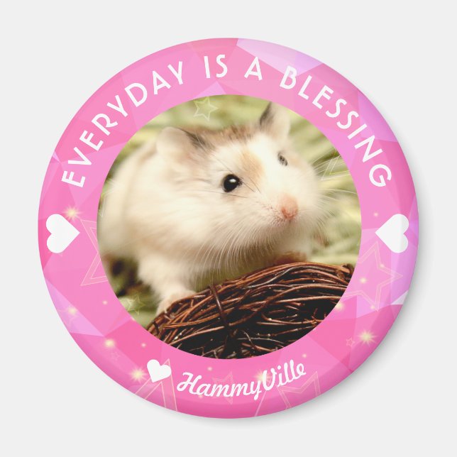 Íman Hammyville - Hamster Cute Robo (Frente)