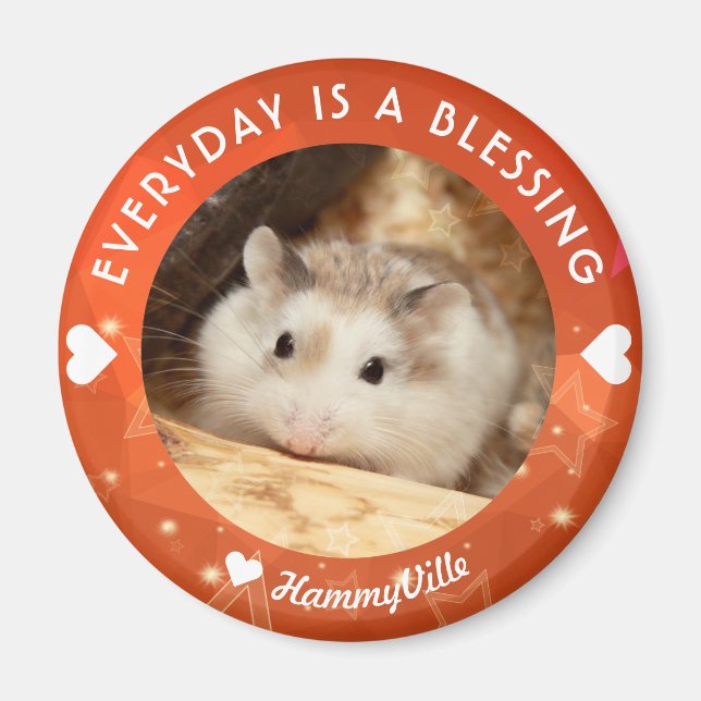 Íman Hammyville - Hamster Cute Robo (Frente)