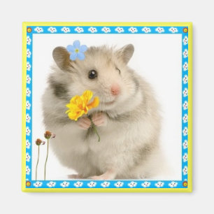 Íman hamster