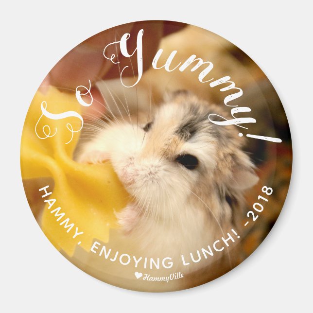 Íman Hamster Bonito Tão Iummy (Frente)