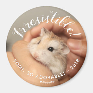 Íman Hamster Cortado Irresistível