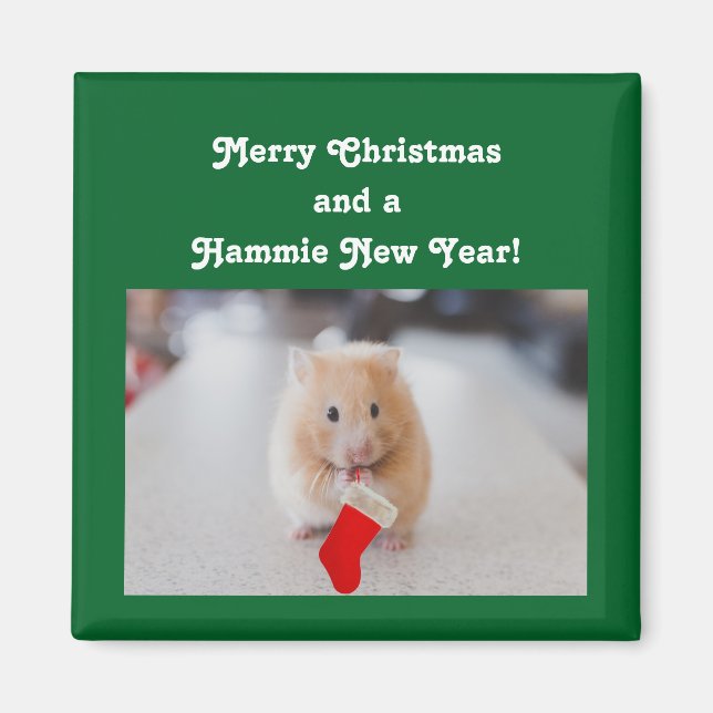 Íman Hamster de Natal (Frente)