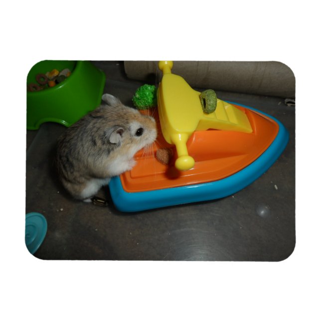 Íman Hamster em um Jet-ski (Horizontal)