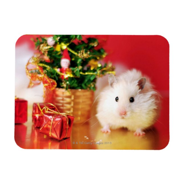 Íman Hamster Kokolinka com árvore de Natal (Horizontal)