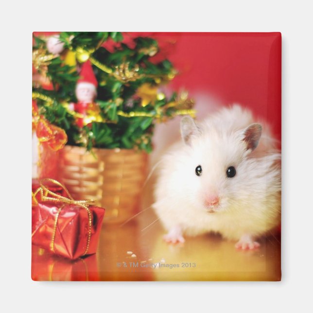 Íman Hamster Kokolinka com árvore de Natal (Frente)