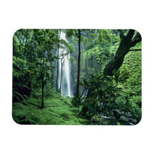 Íman Hanakapiai Falls ao longo da costa de Na Pali, Kau