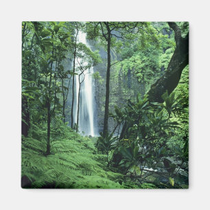 Íman Hanakapiai Falls ao longo da costa de Na Pali, Kau