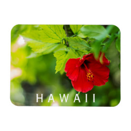 Íman Hanalei Red Hibiscus Flor Tropical