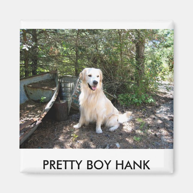 Íman Hank 8 10 2008 014.1, BONITO BOY HANK (Frente)