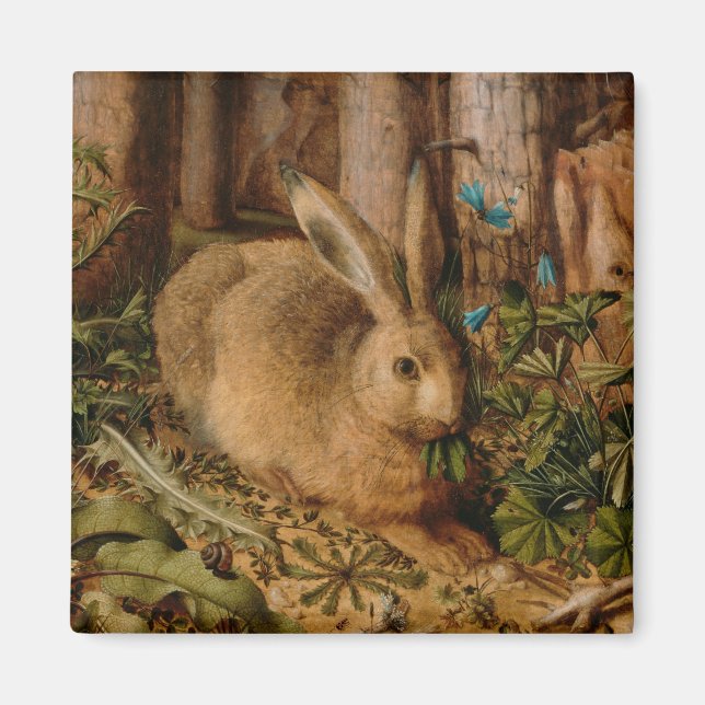 Íman Hans Hoffmann A Hare In The Forest (Frente)