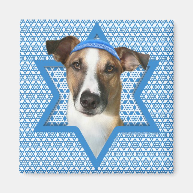 Íman Hanukkah Star de David - Whollie - Coney (Frente)