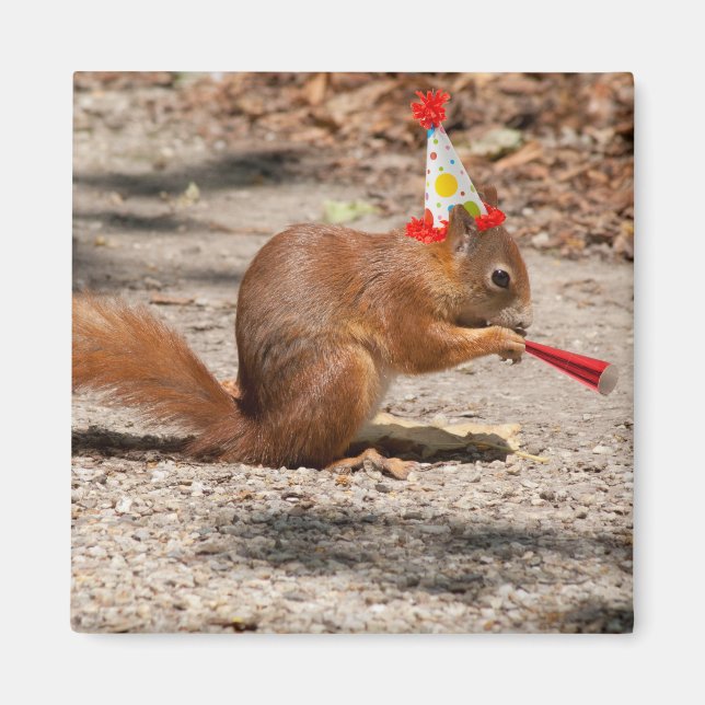 Íman Happy Birthday Squirrel (Frente)
