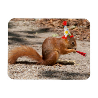Íman Happy Birthday Squirrel