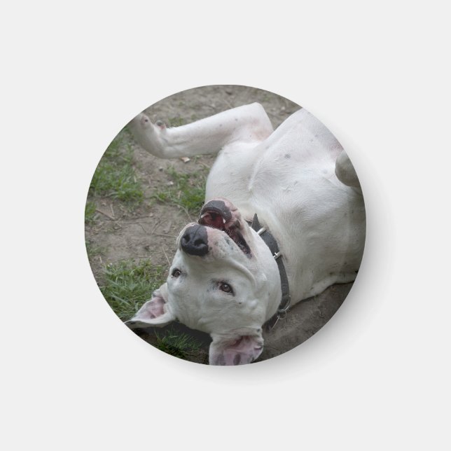 Íman Happy Dogo Argentino Girl (Frente)