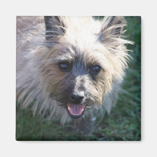 Íman Happy Girl Magnet