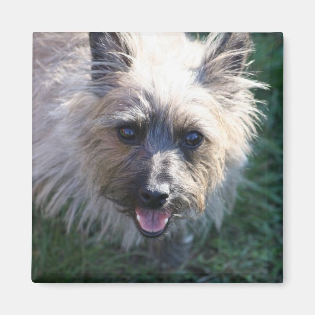 Íman Happy Girl Magnet (Frente)