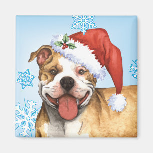 Íman Happy Howliday Pit Bull Terrier