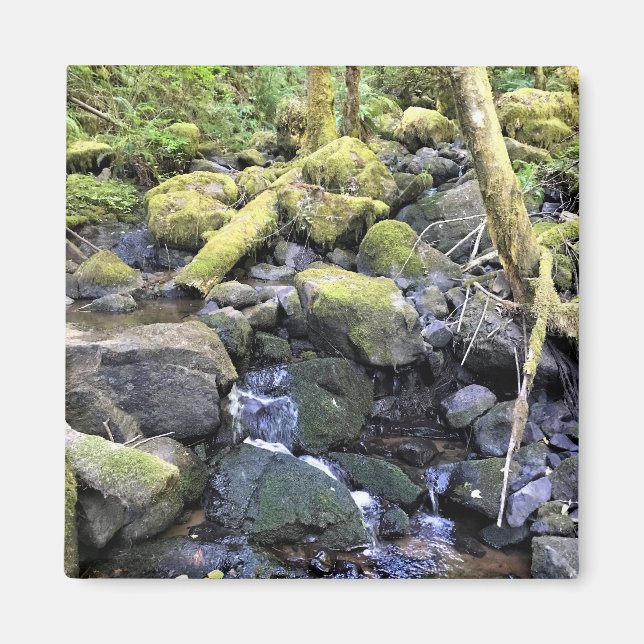 Íman Hardy Creek, Oregon (Frente)