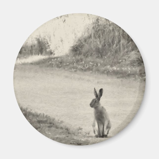 Íman Hare hoje (Frente)