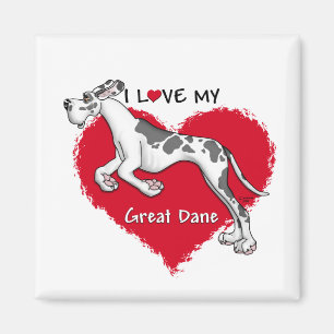 Íman Harlequin great dane UC do amor