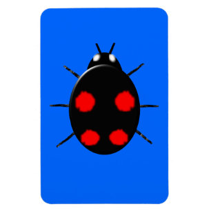 Íman Harlequin Ladybird Premium Magnet