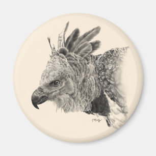 Íman Harpy Eagle Drawing