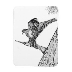 ÍMAN HARRIET M HOME STORY OF FAMILY TREE E9 BRANCHES