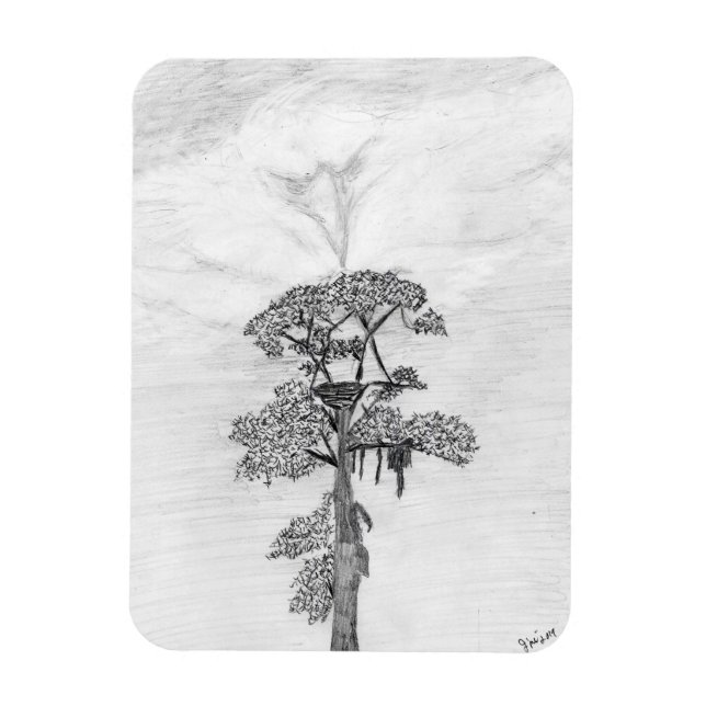 ÍMAN  HARRIET M HOME STORY OF FAMILY TREE OZZIE ASSISTE (Vertical)