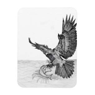 ÍMAN HARRIET OZZIE M15 HISTÓRIA DOMÉSTICA DE PEIXE DE Á