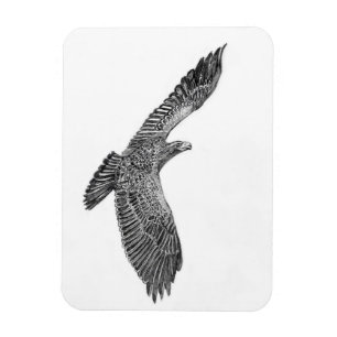 ÍMAN HARRIET OZZIE M HISTÓRIA DOMÉSTICA DA ÁRVORE FAMIL