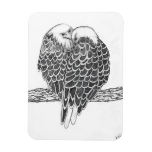 ÍMAN HARRIET OZZIE M HISTÓRIA DOMÉSTICA DO AMOR DA ÁRVO