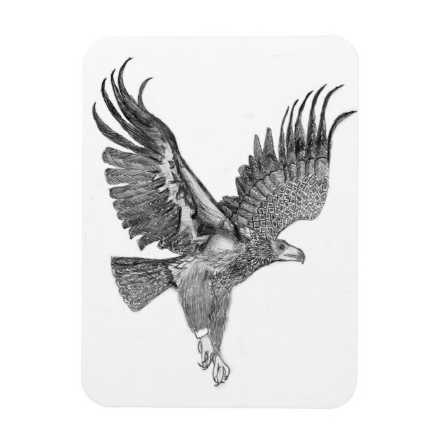 ÍMAN  HARRIET OZZIE M HOME STORY OF FAMILY TREE E8 SOAR (Vertical)