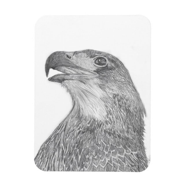 ÍMAN  HARRIET OZZIE M HOME STORY OF FAMILY TREE E9 LOVE (Vertical)